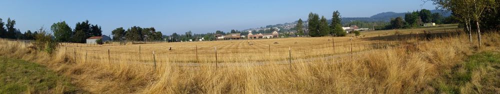 Land Development Opportunity: 17444 SE Vogel Rd, Damascus, OR 97089